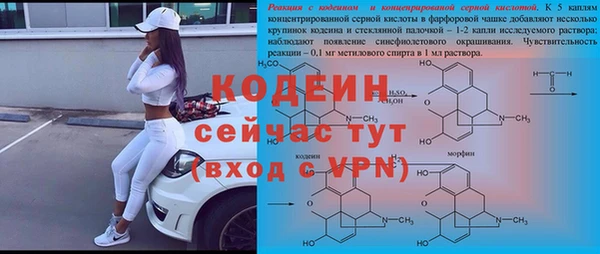 спиды Елизово
