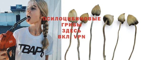 крисы Ельня