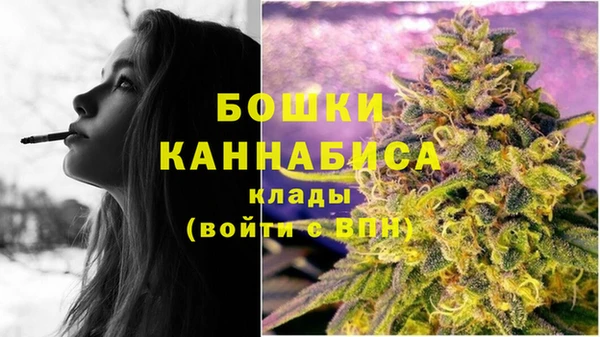спиды Елизово