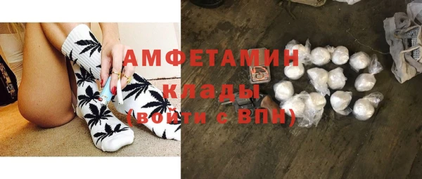 крисы Ельня